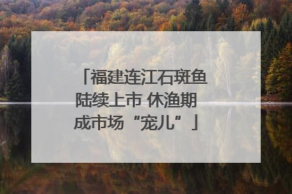 福建连江石斑鱼陆续上市 休渔期成市场“宠儿”