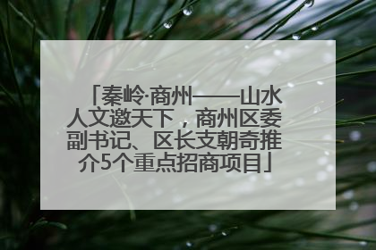 秦岭·商州——山水人文邀天下，商州区委副书记、区长支朝奇推介5个重点招商项目