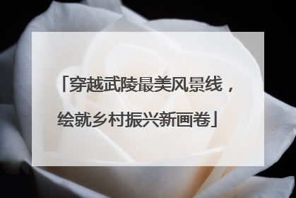 穿越武陵最美风景线，绘就乡村振兴新画卷