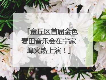 章丘区首届金色麦田音乐会在宁家埠火热上演！