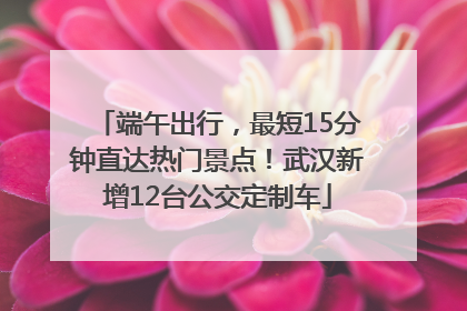端午出行，最短15分钟直达热门景点！武汉新增12台公交定制车