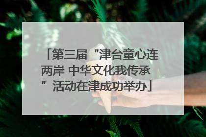 第三届“津台童心连两岸 中华文化我传承”活动在津成功举办