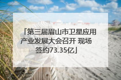 第三届眉山市卫星应用产业发展大会召开 现场签约73.35亿