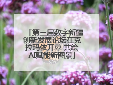 第三届数字新疆创新发展论坛在克拉玛依开幕 共绘AI赋能新图景