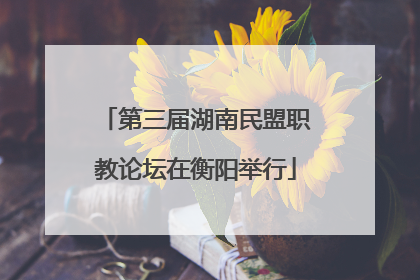 第三届湖南民盟职教论坛在衡阳举行