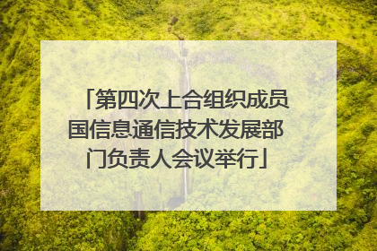 第四次上合组织成员国信息通信技术发展部门负责人会议举行