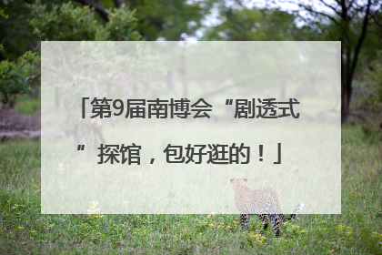 第9届南博会“剧透式”探馆，包好逛的！