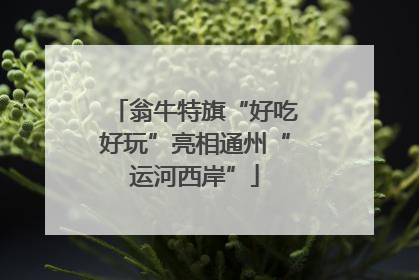 翁牛特旗“好吃好玩”亮相通州“运河西岸”