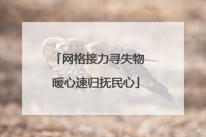 网格接力寻失物 暖心速归抚民心
