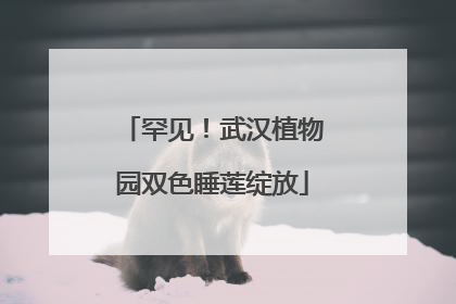 罕见！武汉植物园双色睡莲绽放