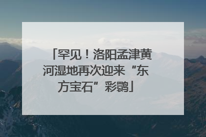 罕见！洛阳孟津黄河湿地再次迎来“东方宝石”彩鹮