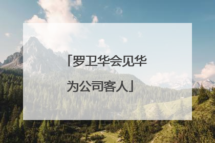 罗卫华会见华为公司客人