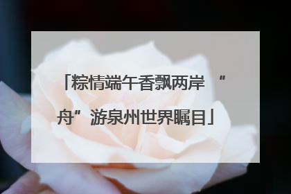 粽情端午香飘两岸 “舟”游泉州世界瞩目