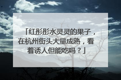 红彤彤水灵灵的果子，在杭州街头大量成熟，看着诱人但能吃吗？