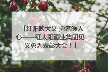 红阳映大义 勇者暖人心——红太阳酒业集团见义勇为表彰大会！