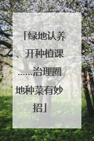绿地认养、开种植课……治理圈地种菜有妙招