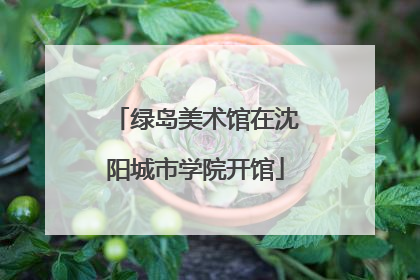 绿岛美术馆在沈阳城市学院开馆
