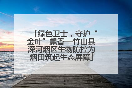 绿色卫士，守护“金叶”飘香—竹山县深河烟区生物防控为烟田筑起生态屏障