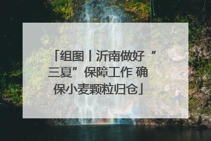 组图丨沂南做好“三夏”保障工作 确保小麦颗粒归仓