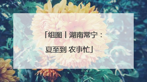 组图丨湖南常宁：夏至到 农事忙