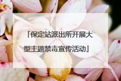 保定站派出所开展大型主题禁毒宣传活动