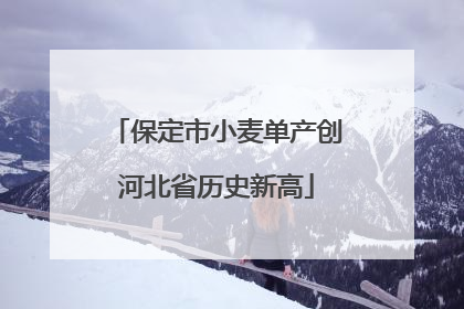 保定市小麦单产创河北省历史新高