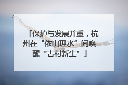 保护与发展并重，杭州在“依山理水”间唤醒“古村新生”