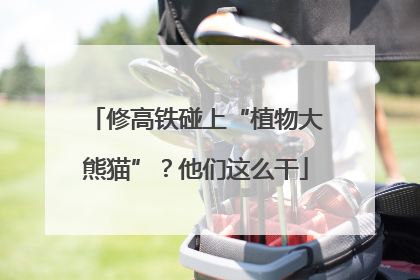 修高铁碰上“植物大熊猫”？他们这么干