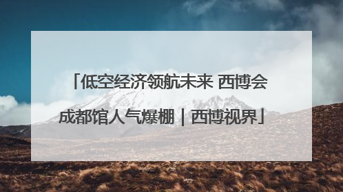 低空经济领航未来 西博会成都馆人气爆棚｜西博视界