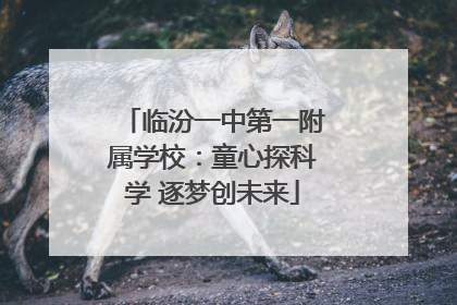 临汾一中第一附属学校：童心探科学 逐梦创未来