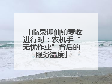 临泉迎仙镇麦收进行时：农机手“无忧作业”背后的服务温度