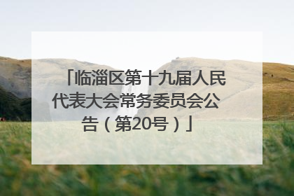 临淄区第十九届人民代表大会常务委员会公告（第20号）