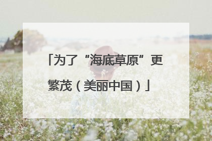 为了“海底草原”更繁茂（美丽中国）