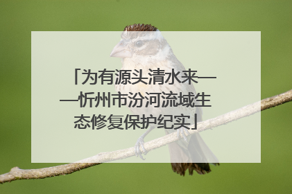 为有源头清水来——忻州市汾河流域生态修复保护纪实