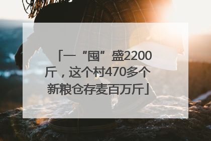 一“囤”盛2200斤，这个村470多个新粮仓存麦百万斤