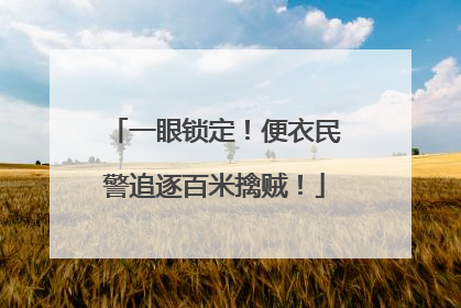 一眼锁定！便衣民警追逐百米擒贼！