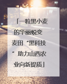 一粒黑小麦的华丽蜕变 麦田“黑科技”助力山西农业向新提质