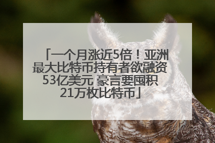一个月涨近5倍！亚洲最大比特币持有者欲融资53亿美元 豪言要囤积21万枚比特币