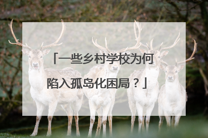 一些乡村学校为何陷入孤岛化困局？