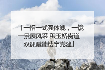 一招一式强体魄，一镜一景展风采 积玉桥街道双课赋能楼宇党建