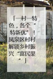 一村一特色，各个“特新优”！凤泉区村村解锁乡村振兴“富民果”