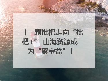一颗枇杷走向“枇杷+” 山海资源成为“聚宝盆”