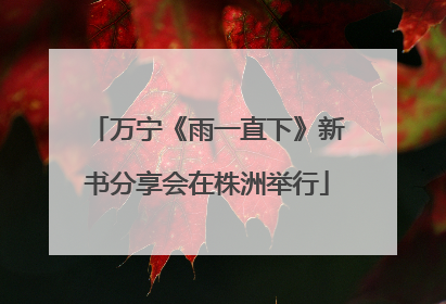 万宁《雨一直下》新书分享会在株洲举行