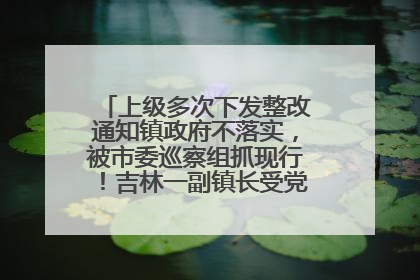 上级多次下发整改通知镇政府不落实，被市委巡察组抓现行！吉林一副镇长受党内警告处分