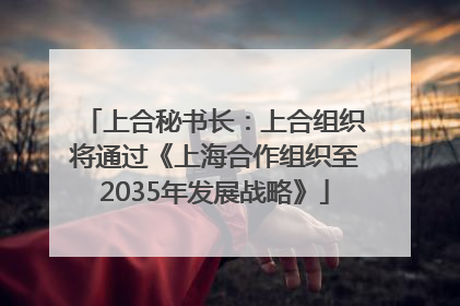 上合秘书长：上合组织将通过《上海合作组织至2035年发展战略》