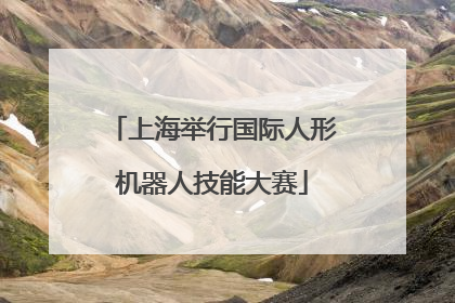 上海举行国际人形机器人技能大赛