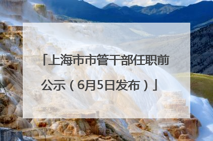 上海市市管干部任职前公示（6月5日发布）