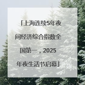 上海连续5年夜间经济综合指数全国第一，2025年夜生活节启幕