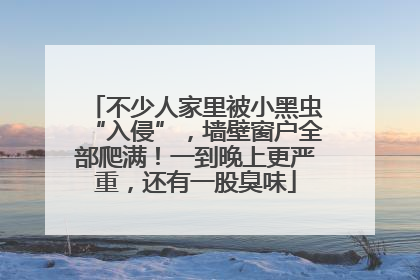 不少人家里被小黑虫“入侵”，墙壁窗户全部爬满！一到晚上更严重，还有一股臭味