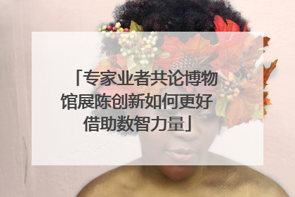 专家业者共论博物馆展陈创新如何更好借助数智力量